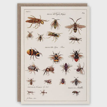 Card (The Pattern Book): Wasps and Bees