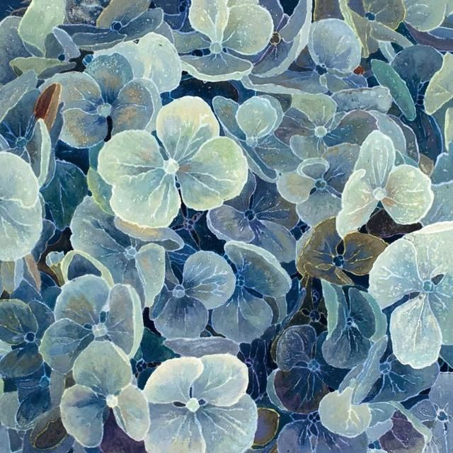 Card (Cressida Campbell): Blue Hydrangea