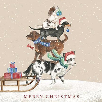 Card Set (Boxed): Christmas Dogs