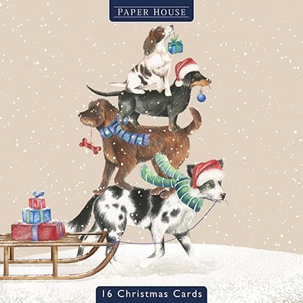 Card Set (Boxed): Christmas Dogs