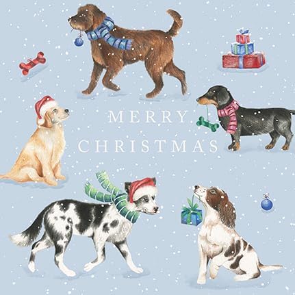 Card Set (Boxed): Christmas Dogs