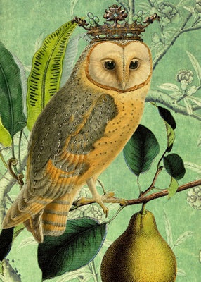 Card (Madame Treacle): The Owl and the Pear