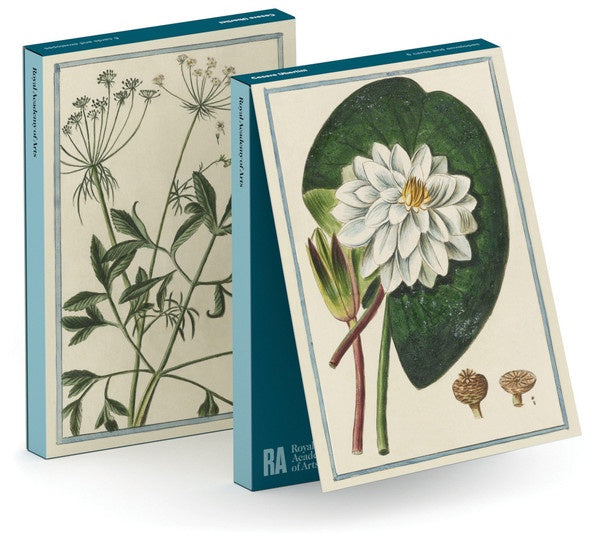 Card Set (Wallet): Cesare Umbertini Botanical