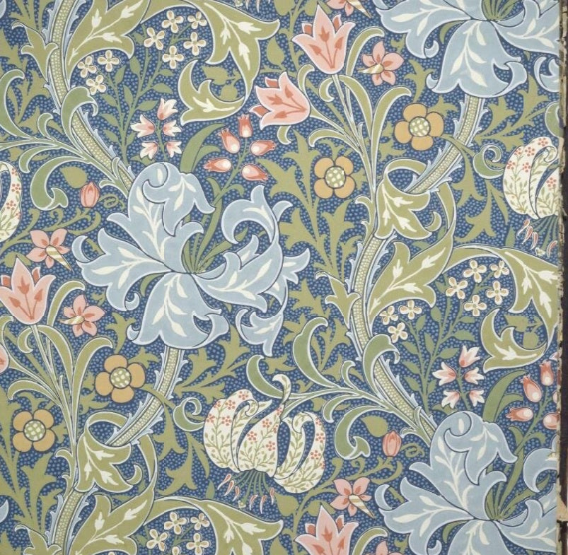 Card (V&A): Golden Lily