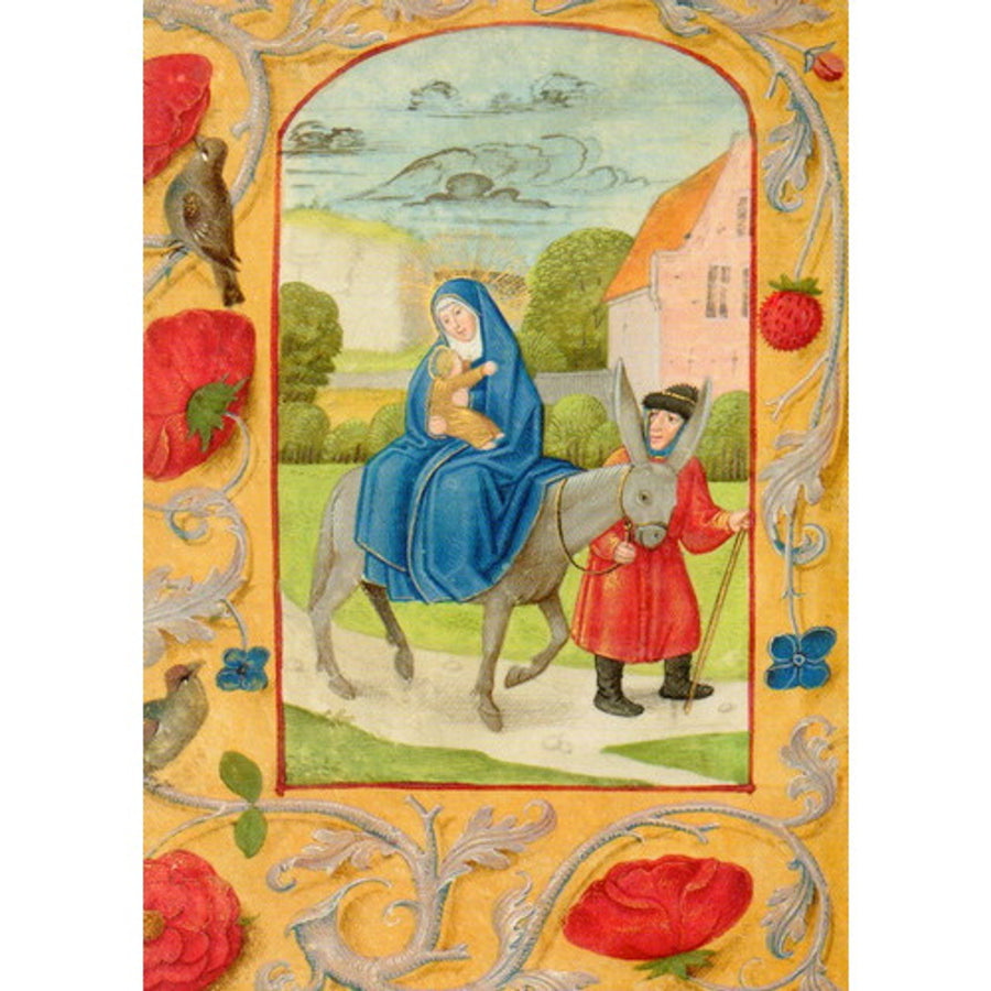 Card Set: A gentle flight into Egypt