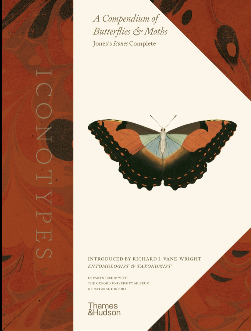 Book: Iconotypes