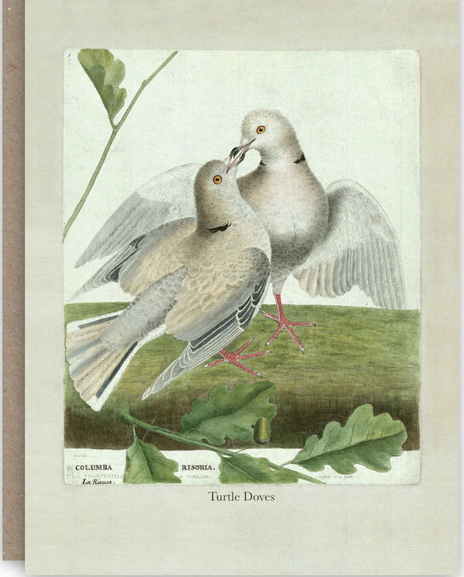 Card: Turtle Doves