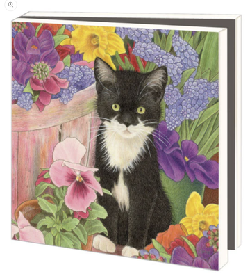 Card Set(Wallet): Cats