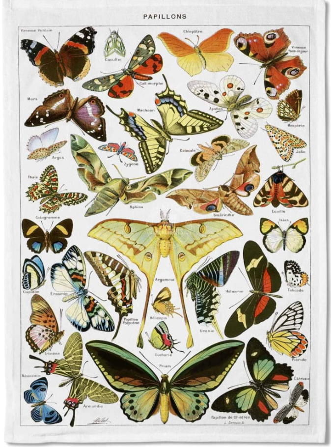 Tea Towel: Papillons