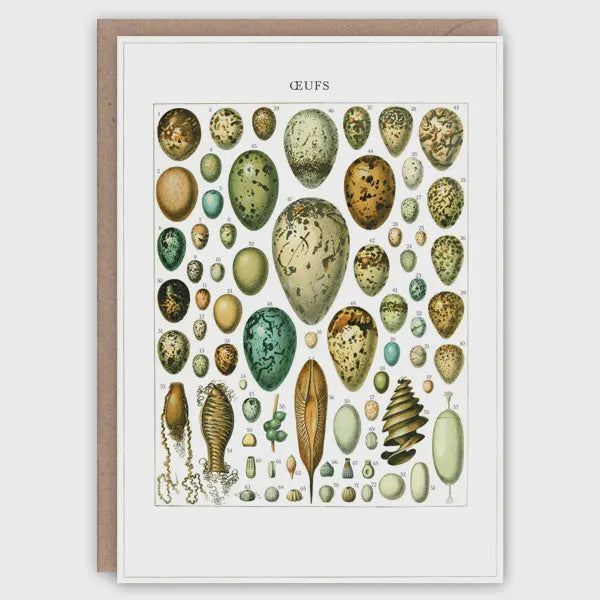 Card (The Pattern Book): Oeufs