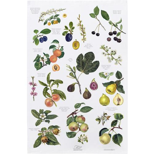Tea Towel: Fruit