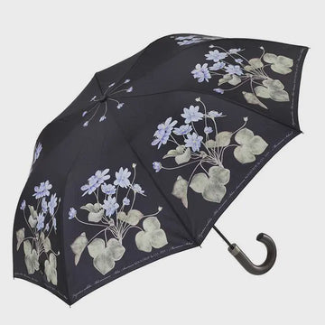 Umbrella: Anemone