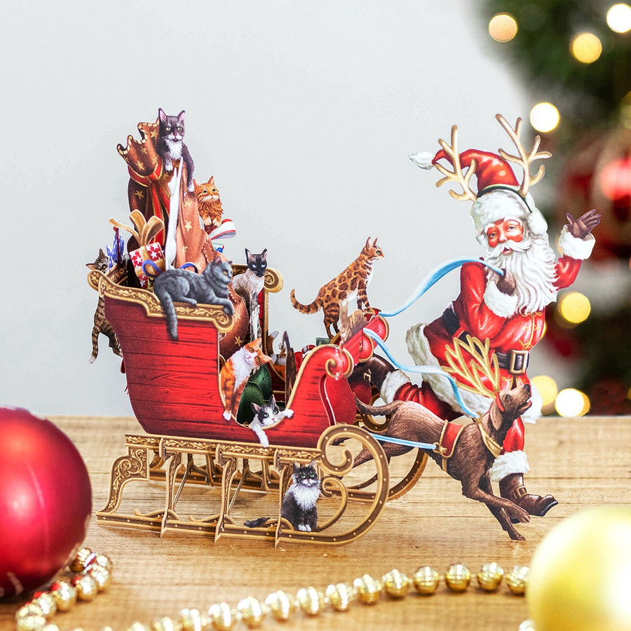 Card (3D Pop up Christmas): Cat Sleigh