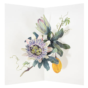 Card(3D Popup): Passionflower