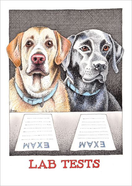 Card (Simon Drew): Lab Tests