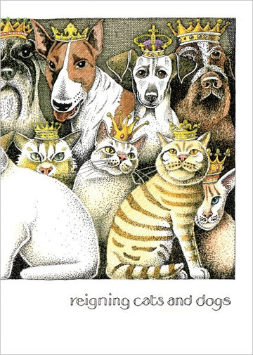 Card(Simon Drew): reigning cats and dogs