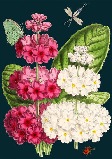 Card (Madame Treacle): Pink & White Flowers
