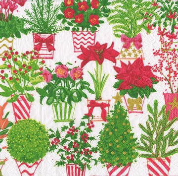 Paper Napkins (Lunch): Christmas Flower Market