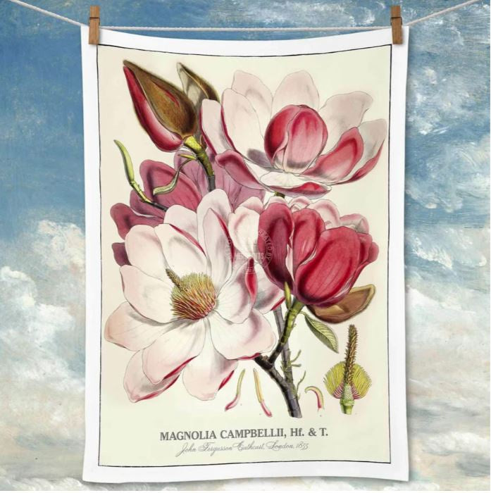 Tea Towel: Magnolias