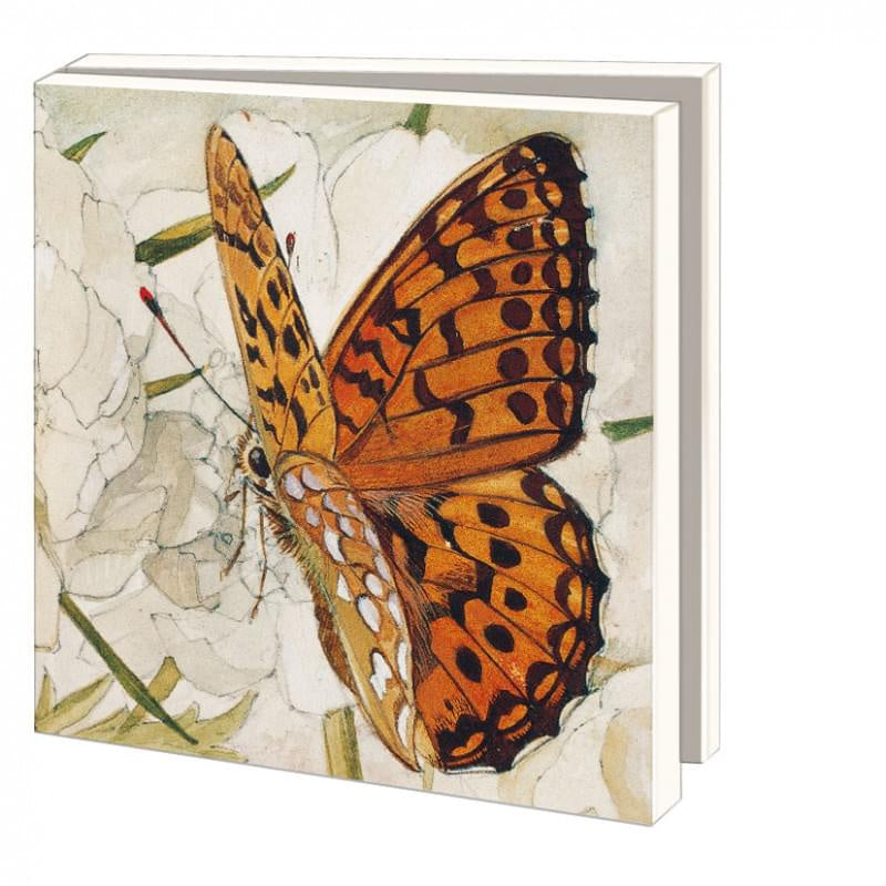 Card Set (Wallet): Butterfly Square - Zaans Museum