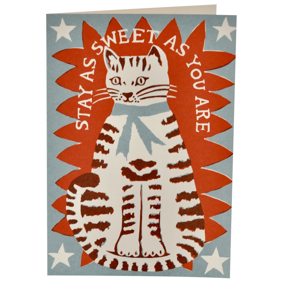 Card (Cambridge Imprint): Sweet Cat