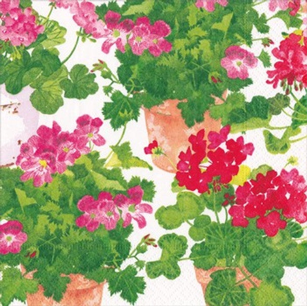 Paper Napkins (Lunch): Trailing Geranium