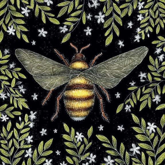 Card (Catherine Rowe): Honey Bee