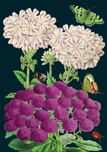 Card (Madame Treacle): Floral Purple