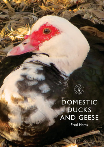 Shire Book: Domestic Ducks & Geese