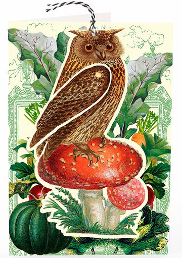 Card (Madame Treacle): Brown Owl
