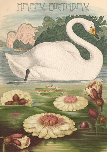 Card (Madame Treacle): The Swan