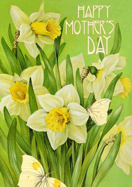 Card (Madame Treacle): Mothers Day Daffodils