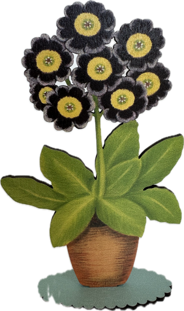 Wooden Mantle Ornament: Auricula