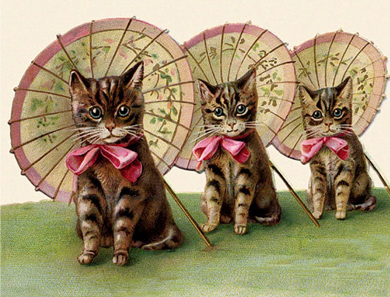 Card (Madame Treacle): Three Kittens