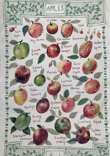 Tea Towel (Maude Smith): Apples