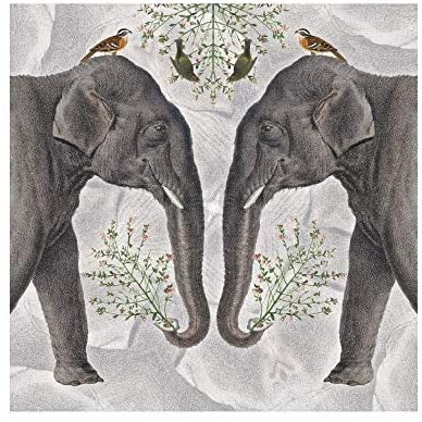 Card: Indian Elephant