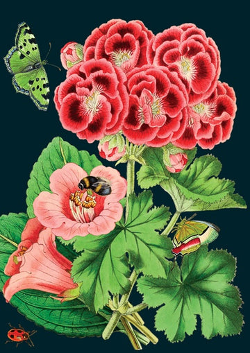 Card (Madame Treacle): Pink Geranium