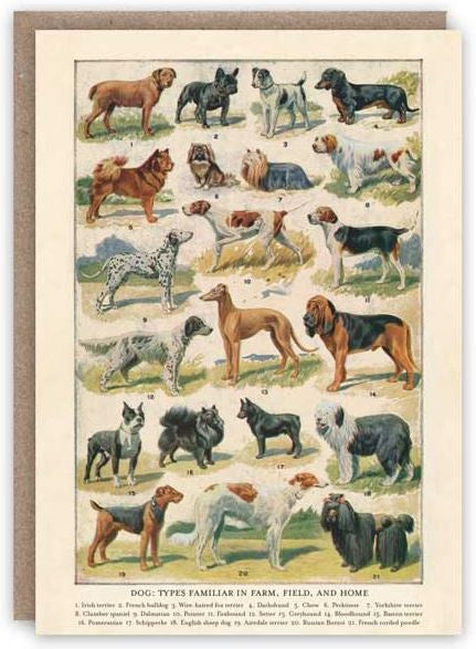 Card (The Pattern Book): Dog Breeds