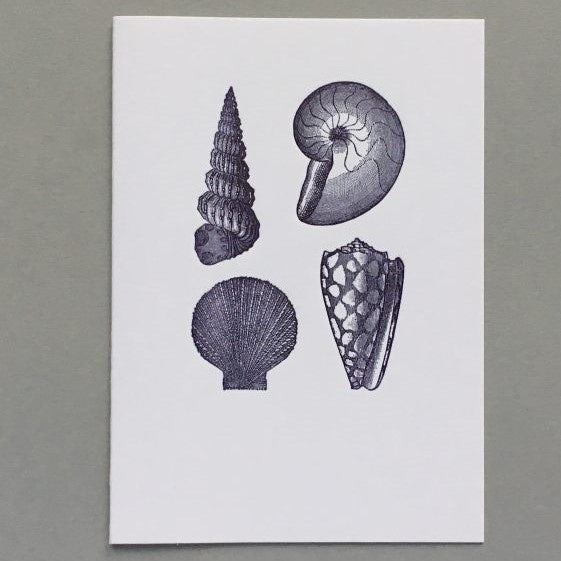 Card (Keyhole Collection): Shells