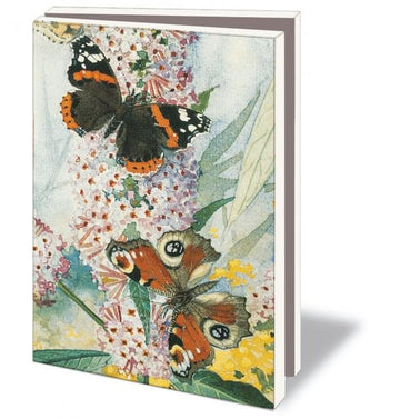 Card Set (Wallet): Butterflies - Zaans Museum
