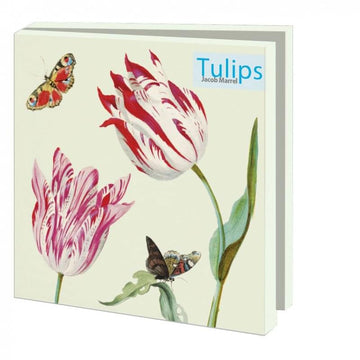 Card Set (Wallet): Tulips by Jacob Marrel