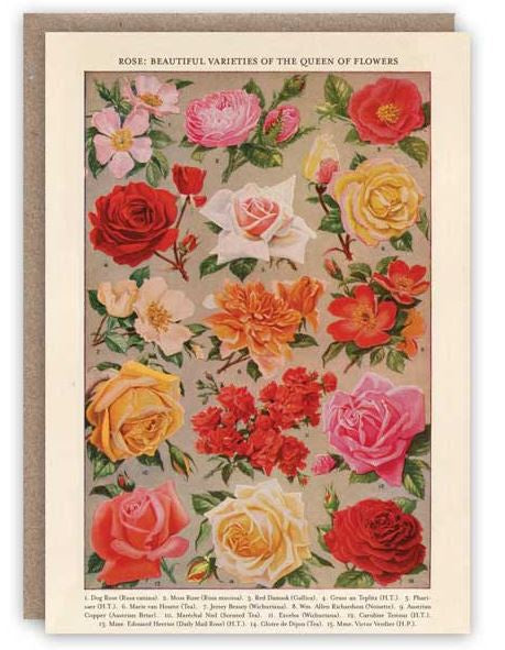 Card (The Pattern Book): Roses
