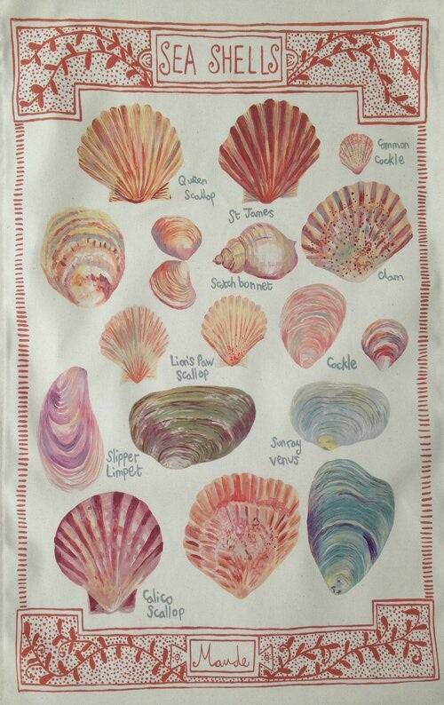Tea Towel (Maude Smith): Sea Shells
